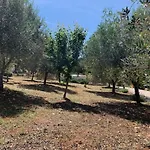 Trulli Santa Maria Odegitria Relais Lantställe Ostuni