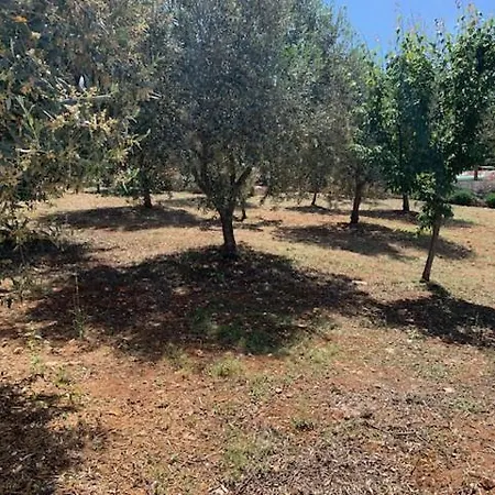 منزل ريفي Trulli Santa Maria Odegitria Relais أوستوني