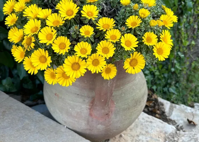 Country house Trulli Santa Maria Odegitria Relais